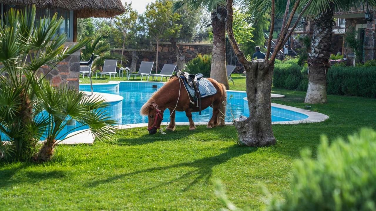 Assos Alis Farm Boutique Hotel & Spa Экстерьер фото