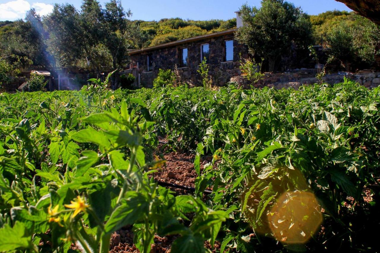 Assos Alis Farm Boutique Hotel & Spa Экстерьер фото