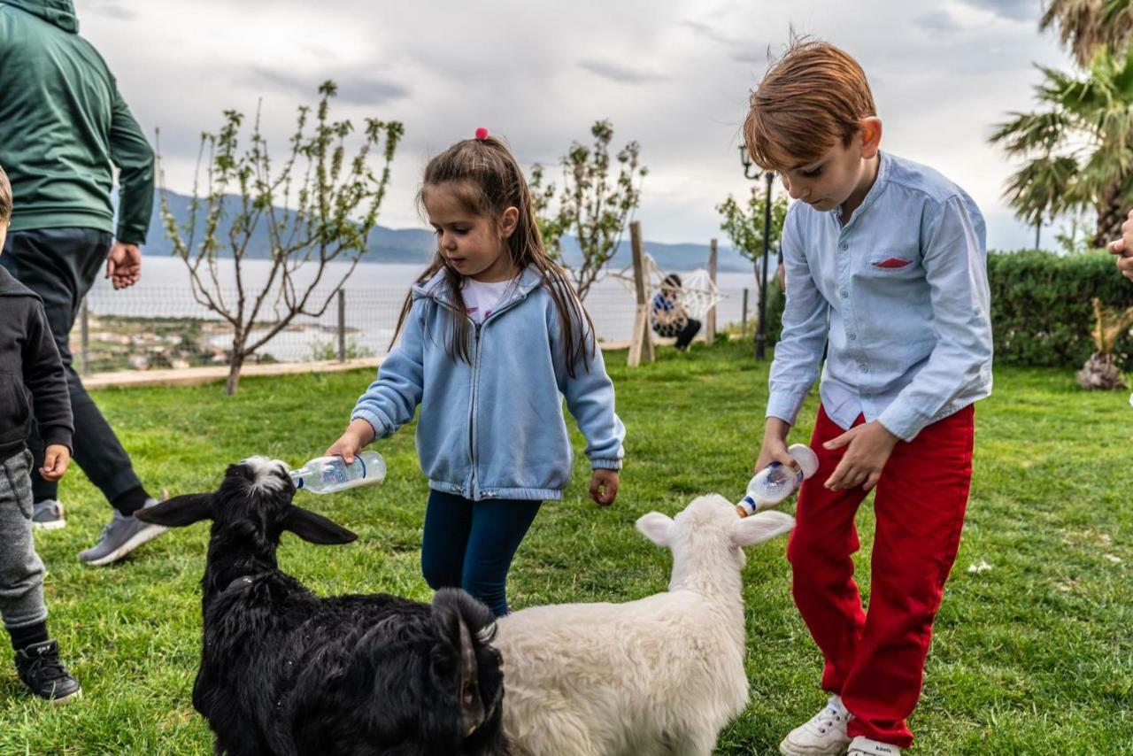 Assos Alis Farm Boutique Hotel & Spa Экстерьер фото
