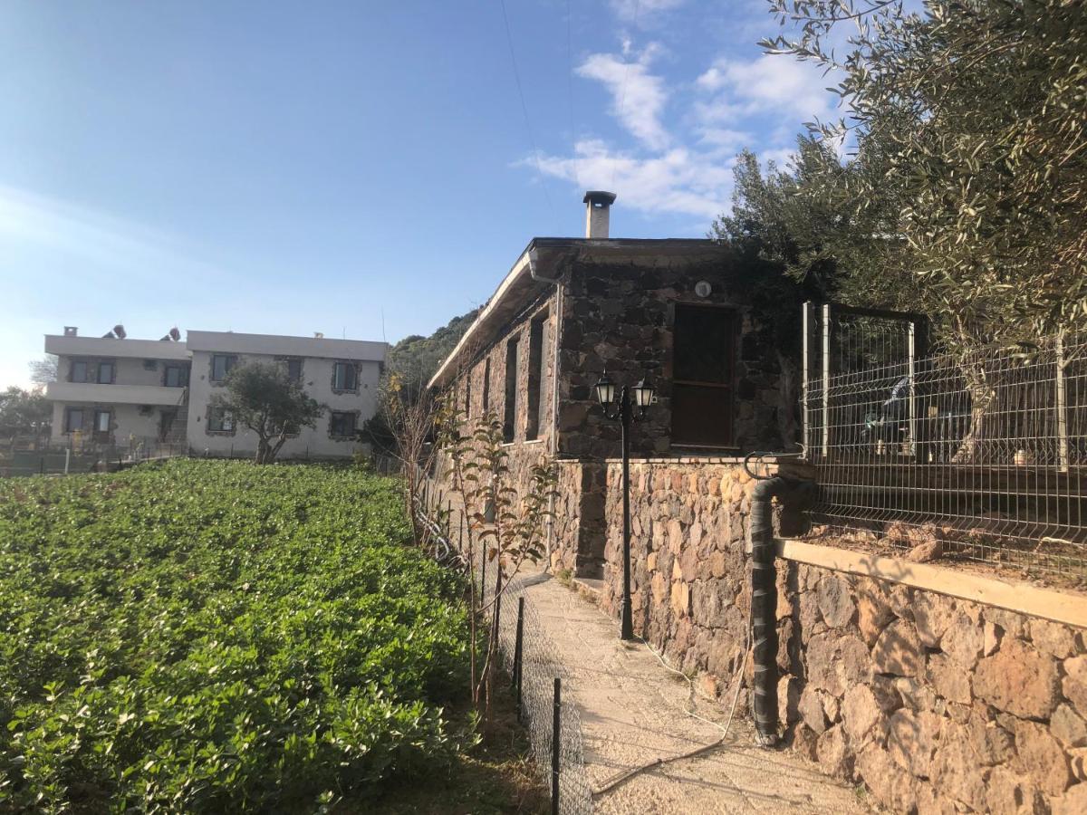 Assos Alis Farm Boutique Hotel & Spa Экстерьер фото
